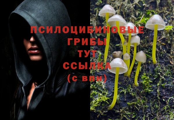 каннабис Пестово