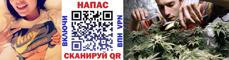 Каннабис AK-47 Купить закладки Электроугли